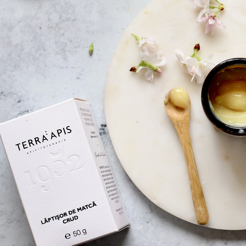 TERRA:APIS × ANTI-AGING FESTIVAL
