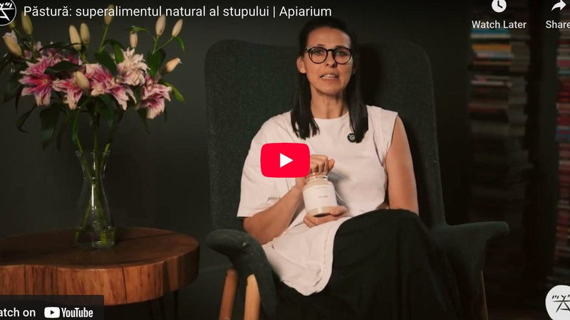 Păstură Apiarium în borcan de sticlă, produs apicol premium, vedere detaliată asupra granulelor naturale fermentate din polen.