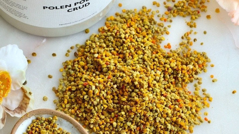 Refacerea microbiomului și reglarea tranzitului cu polen crud.